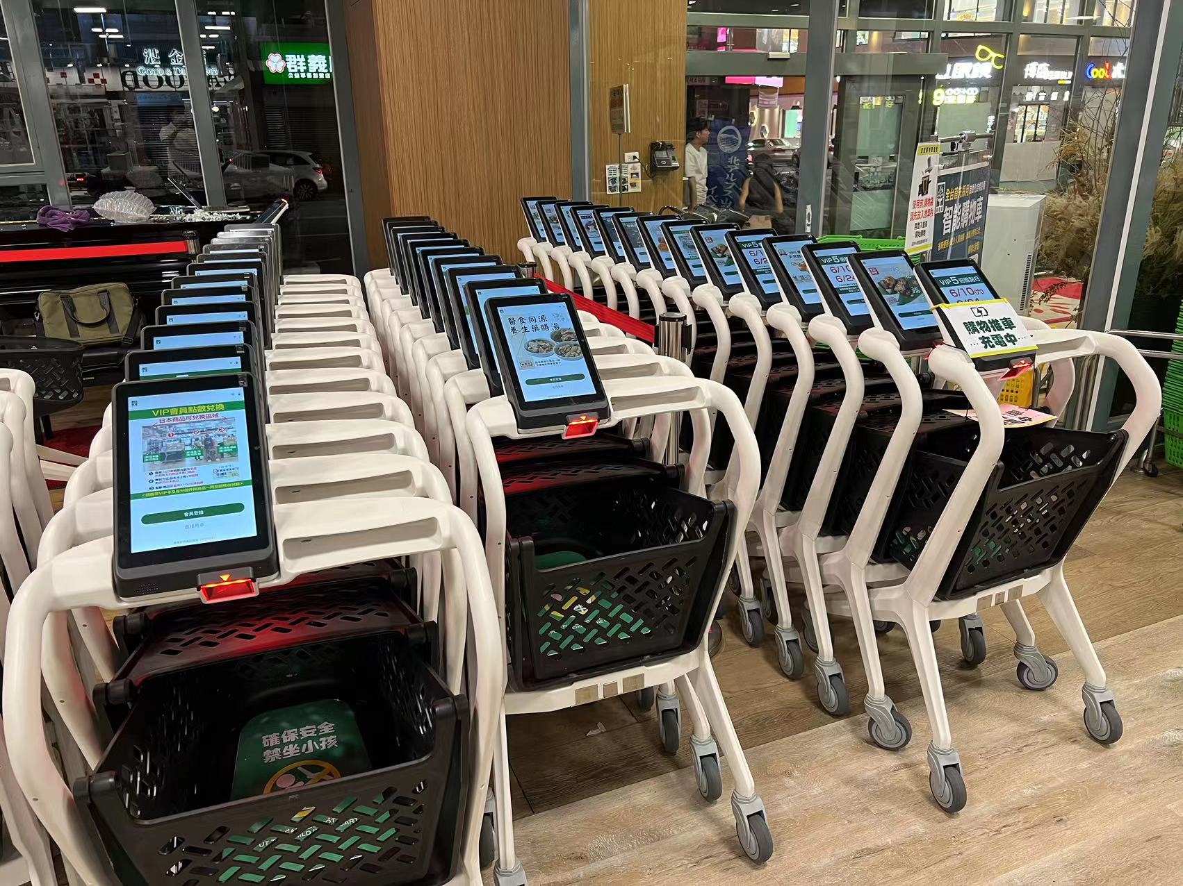 self-checkout shopping carts